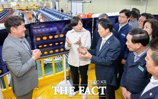 송미령 농림축산식품부 장관이 7일 경북 성주군 월항농협 농산물산지유통센터(APC)를 방문해 참외 수출검역 현장을 점검하고 이병환 성주군수 등 관계자들을 격려했다. /성주군