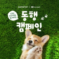  이스타항공, 하루웰과 손잡고 '반려견 동행 캠페인' 진행