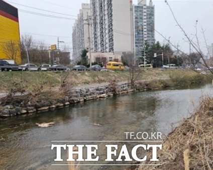 경기도가 ‘여름철 사전대비 하천관리상황 점검’을 통해 위험요소를 발견한 뒤 조치가 이뤄진 경기 용인시 경안천의 모습./경기도