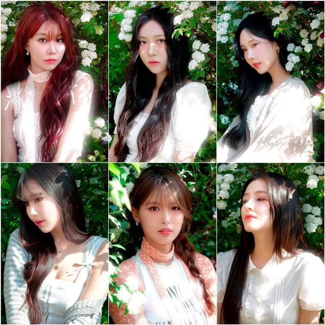 그룹 모모랜드 멤버 전원이 인연엔터테인먼트와 전속계약을 체결하고 2년여 만에 완전체로 팬들을 만날 예정이다. /인연엔터테인먼트