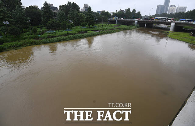 서울시는 여름철 기후 재난에 선제적으로 대응하기 위한 체계적인 방안을 담은 2025 풍수해 안전대책을 12일 발표했다. 사진은 서울 서초구 양재천 산책로가 집중호우로 인해 출입 통제되고 있다. /더팩트 DB