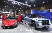  테슬라 주춤, BYD 첫 500대 돌파…수입 전기차 '지각변동'?