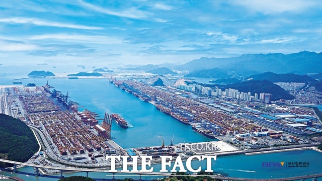 부산항 신항 전경. /부산항만공사