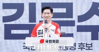  김문수 