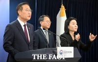 정부 