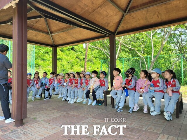 유치원생들이 유아숲지도사로부터 버섯 키우기에 대해 설명을 듣고 있다./순천시