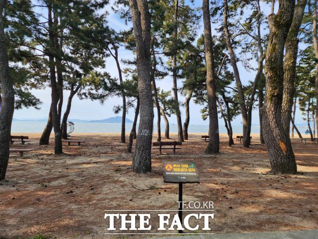 무단 텐트가 철거된 율포솔밭해수욕장 모습 /보성군