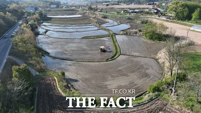 홍성군은 본격적인 모내기 철을 맞아 못자리 실패 농가의 적기 영농지원을 위해 오는 15일부터 다음달 15일까지 벼 못자리 수급은행을 운영한다. /홍성군