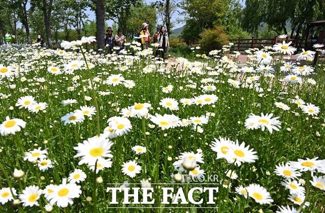 제1회 거창에 ON 봄 축제가 오는 15일부터 18일까지 4일간 거창창포원 일원에서 개최된다./거창군