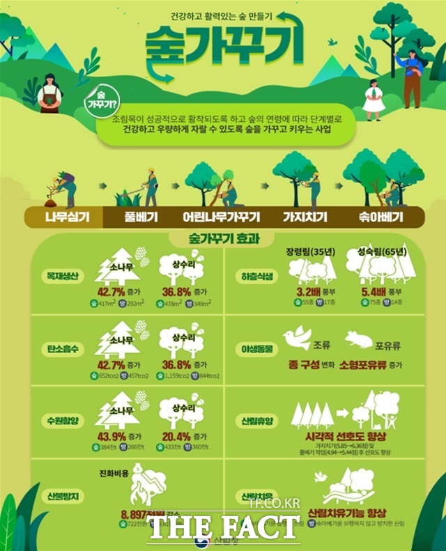 충남도는 올해 344억 원을 투입해 1만 7136ha 규모 맞춤형 숲 가꾸기 사업을 추진한다. /충남도