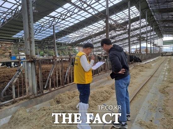 경기도가 선발한 ‘축산환경매니저’가 도내 한 축산농가를 찾아 농가 환경 관리에 대한 조언을 하고 있다./경기도