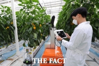  전남도농업기술원, 국책 R&D 140억 원 확보