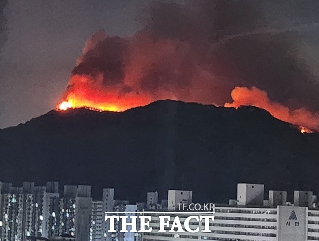 지난달 28일부터 4일간 산불이 발생해 주민 수천 명을 대피하게 한 대구 북구 함지산. /독자 제공