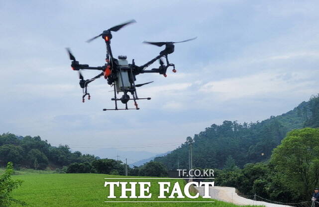 밤나무해충 드론방제 장면. /공주시