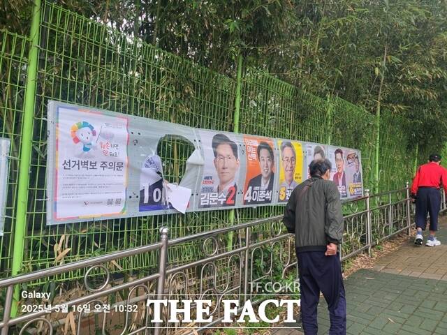 훼손된 선거 벽보. /더불어민주당 부산선대위