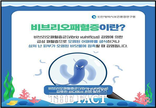 비브리오패혈증/인천시보건환경연구원