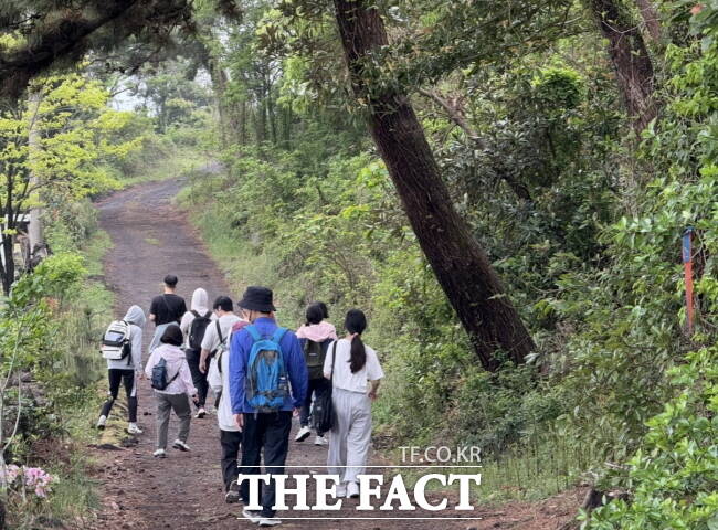 수원시청소년재단이 청소년들을 대사으로 진행한 제주 올레길 걷기 프로그램 모습./수원시