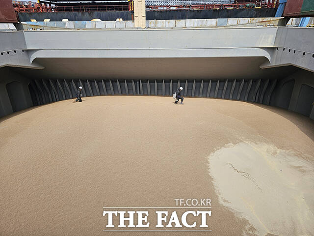 검역관들이 소맥분 8000톤이 실린 선창에서 채를 이용해 소맥을 육안으로 선별하는 방식으로 정밀 검사를 하고 있다./인천=박은평 기자