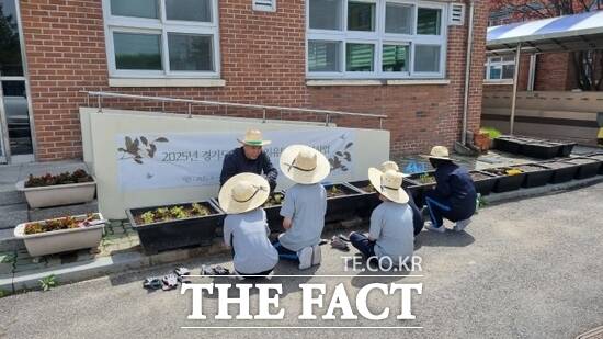 경기 양주시의 경기도 꿈자람 치유텃밭에 참여한 특수 교육 대상 학생들이 강사의 설명을 듣고 있다. /양주시