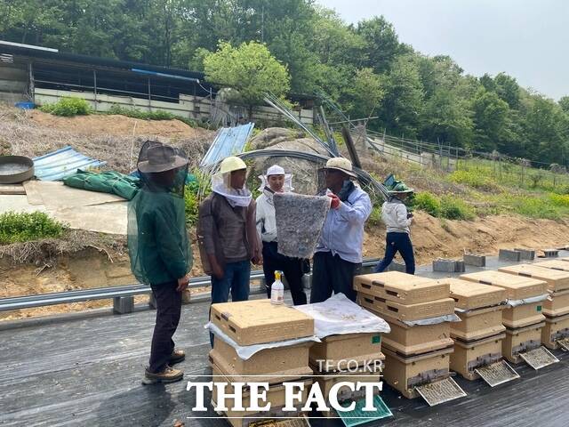 함평군이 이동 양봉 농가를 대상으로 현장 기술 지도를 실시하고 있다./함평군