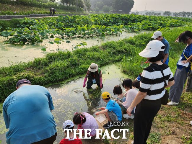 호조벌 생태체험 프로그램 진행 모습 /시흥시