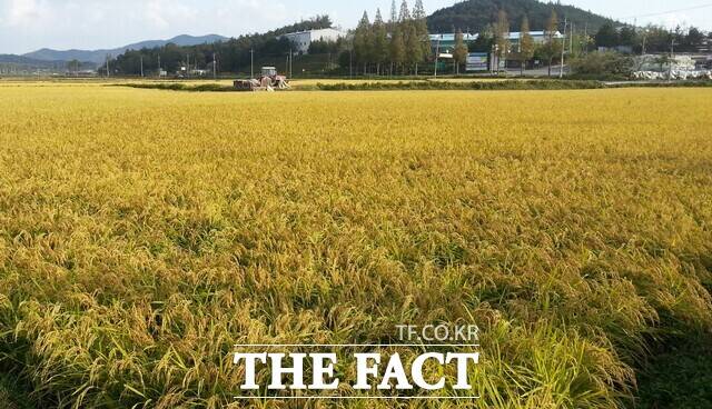 전라남도가 벼 농작물 재해보험 가입을 독려하고 있다./전라남도