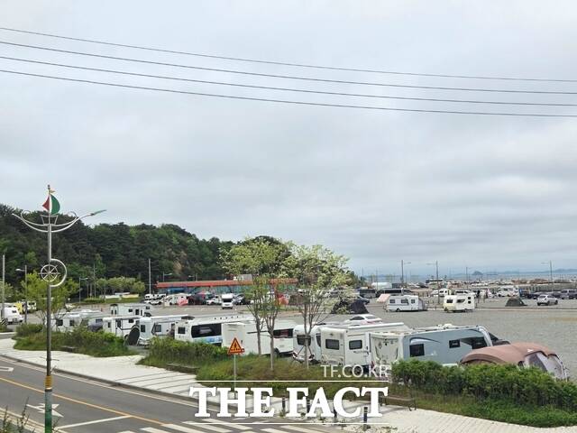 당진 장고항 쓰레기 불법 투기 인근 현장 /당진시