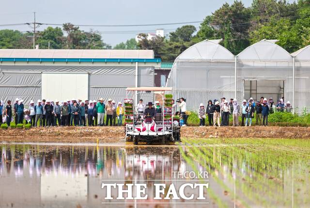 당진시농업기술센터가 21일 지역 농업인 50여 명이 참석한 가운데 신평농협 육묘장에서 드문모심기 연시회를 개최했다. /당진시