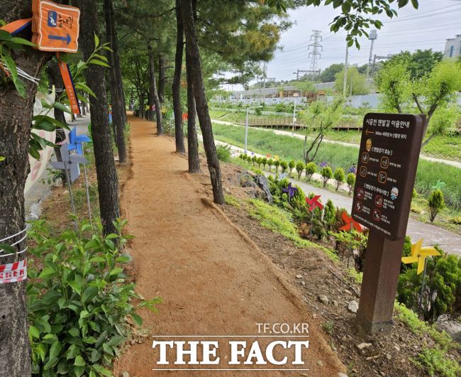 시흥천 제방에 조성한 시흥천 맨발길 /시흥시