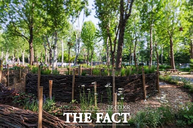 서울시는 22일 사람과 자연을 잇는 정원을 주제로 2025 서울정원박람회를 개막했다. 사진은 작가 정원./서울시