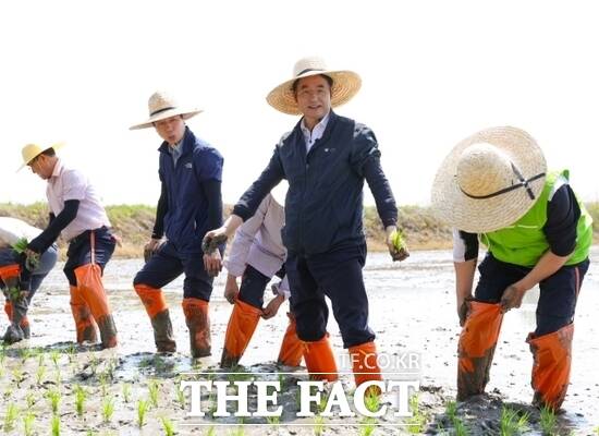 경기 고양시가 22일 일산서구 구산동 1510번지에서서 진행한 2025년 특화농산물 육성을 위한 가와지1호 모내기 행사에 참석한 이동환 시장(오른쪽 2번째)을 비롯한 관계자들이 손수 모내기를 하고 있다. /고양시