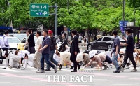  '생물다양성의 날' 네발로 횡단보도 건너는 활동가들 [포토]
