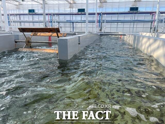 김 육상양식 테스트 모습 /전북도