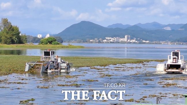 팔당호 유해수초 제거작업/경기도