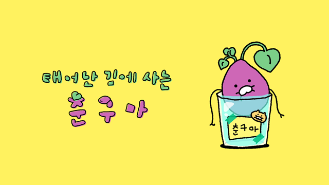 카카오가 운영하는 카카오프렌즈가 신규 스핀오프 캐릭터 춘구마를 공개했다. /카카오