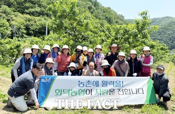 대전 회덕농협 임직원과 NH누리봉사단 20여 명이 26일 충북 영동군 심천면 길현리 복숭아농장을 찾아 적과 작업을 도왔다. /농협 대전지역본부