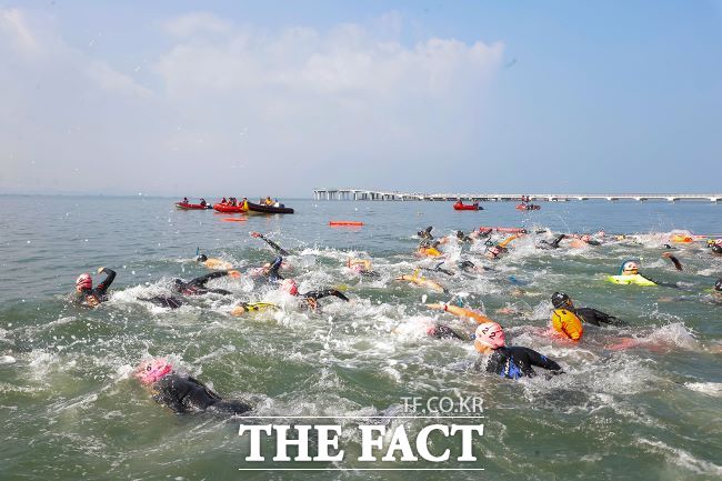 지난해 9월 거북섬에서 열린 제13회 전국생활체육 장거리 핀수영대회 경기 모습. /시흥시