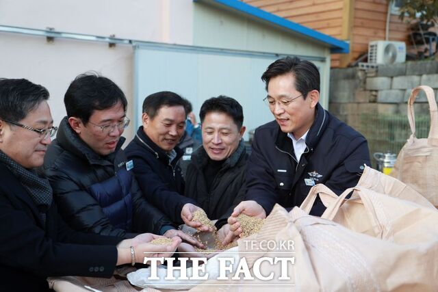 우승희 영암군수(오른 쪽 첫 번째)가 지난 2024 영암군 추곡 수매 현장을 찾아 톤백벼 품질을 살피고 있다. /영암