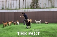  경기도, 경북 산불피해 현장 구조 반려견 56마리 입양준비 완료