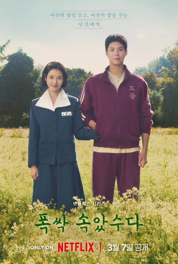 제작진 갑질의혹에 휘말린 폭싹 속았수다는 아이유, 박보검, 문소리, 박해준 등이 출연한 작품으로, 여주인공 애순의 일생을 사계절에 걸쳐 풀어내 지난 3월 16부작 전편 공개됐다. /넷플릭스
