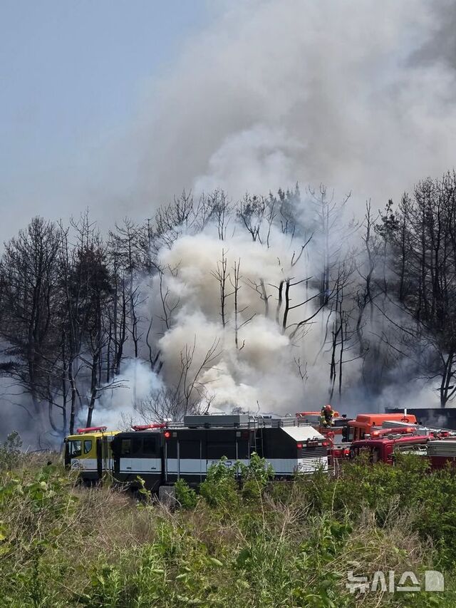 29일 해군초계기가 추락한 경북 포항시 동해면 사고 현장. / 뉴시스