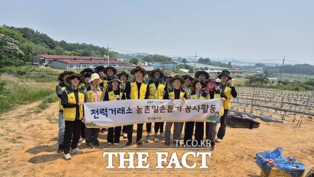 전력거래소가 농촌일손돕기 봉사활동을 실시하고 있다./전력거래소