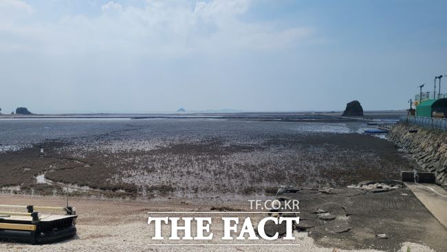 화성 백미리 해안 /경기도