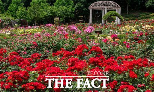 장미그린공원/인천시