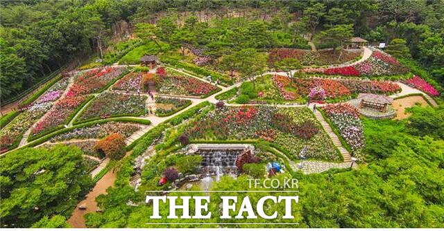 계양산 장미원/인천시