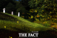  부여군 장암면 덕림마을, '제2회 반딧불이 축제' 31일 열어