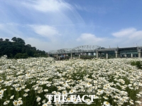  공주시 