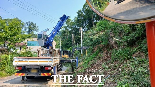 산사태 대비 위험 수목 정리 작업 /화성시