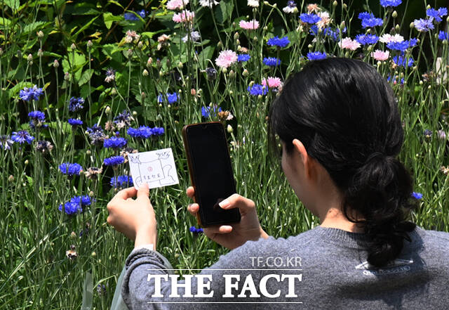 꽃을 배경으로 인증사진 찍는 시민.