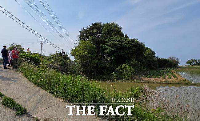 고 김두황 씨가 간첩 침투를 막기 위해 근무하던 중 의문사로 발견된 야산. /김동선 기자